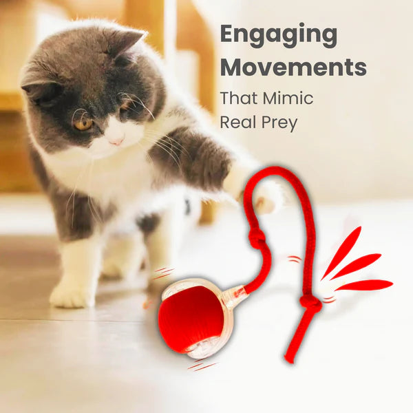 Smart Rechargeable Pet Rolling Ball