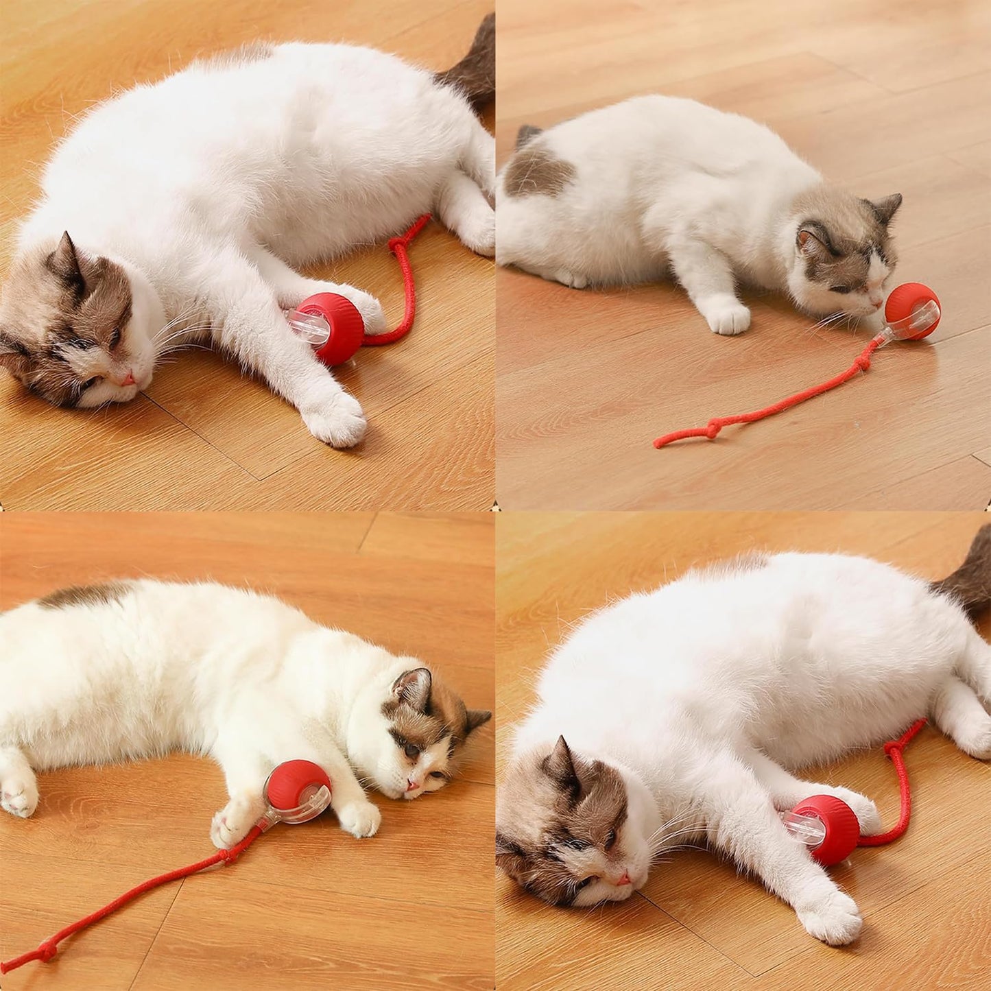 Smart Rechargeable Pet Rolling Ball
