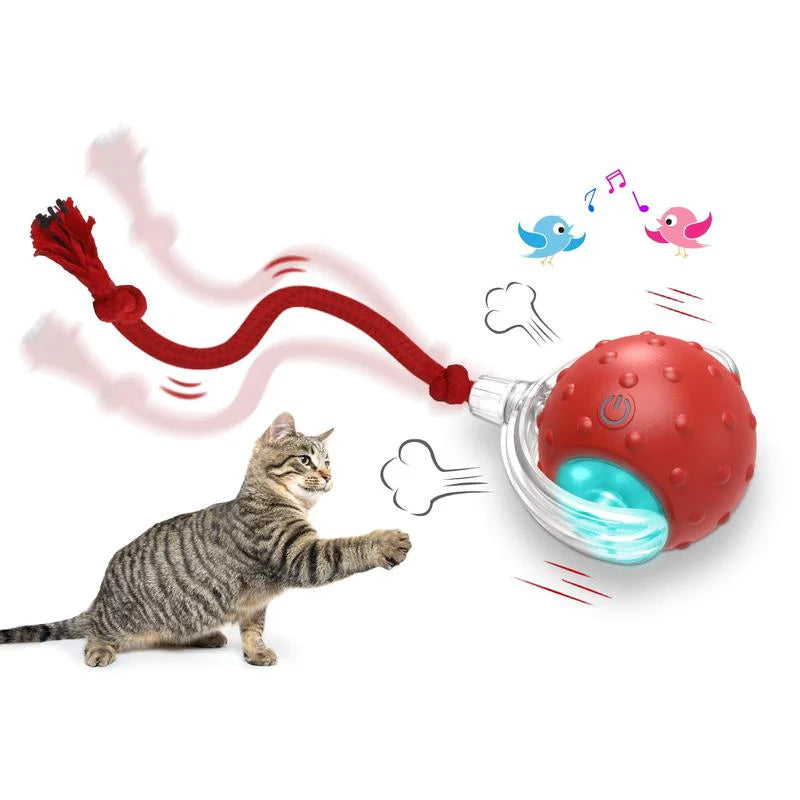 Smart Rechargeable Pet Rolling Ball