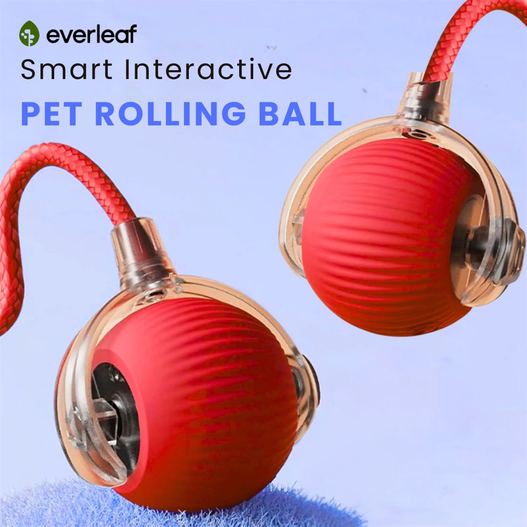 Smart Rechargeable Pet Rolling Ball