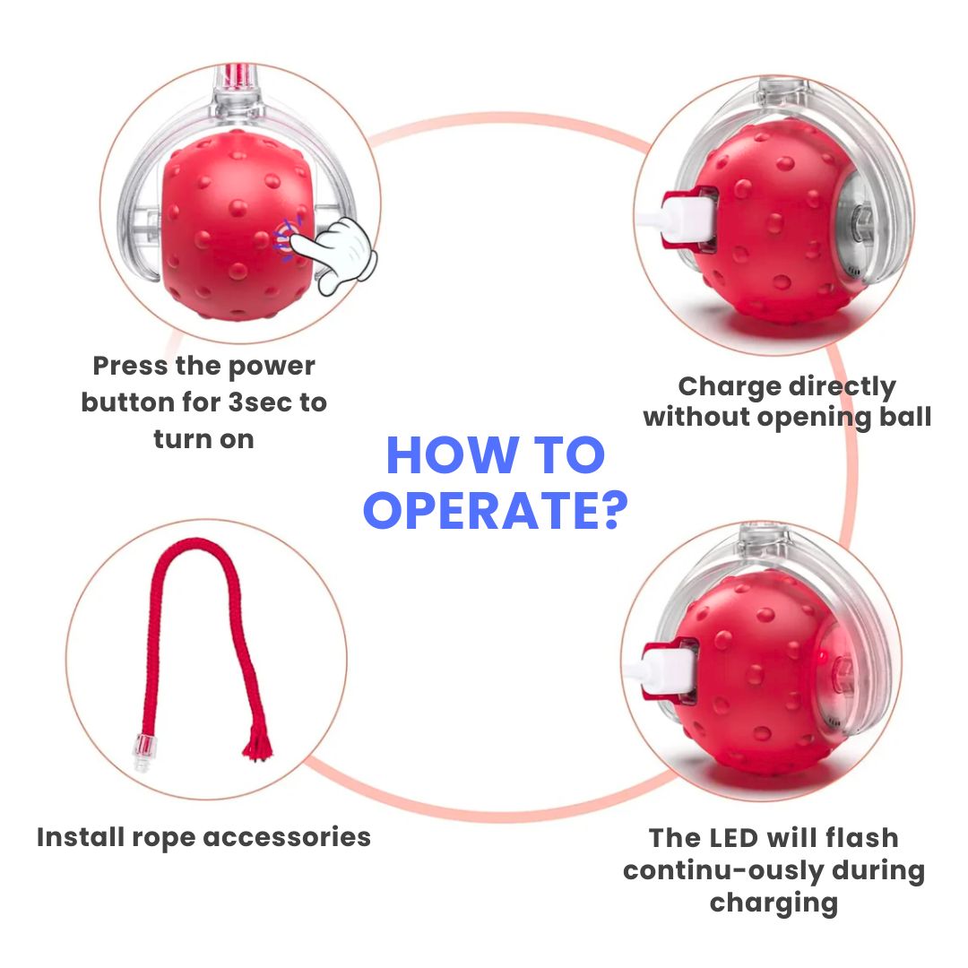 Smart Rechargeable Pet Rolling Ball