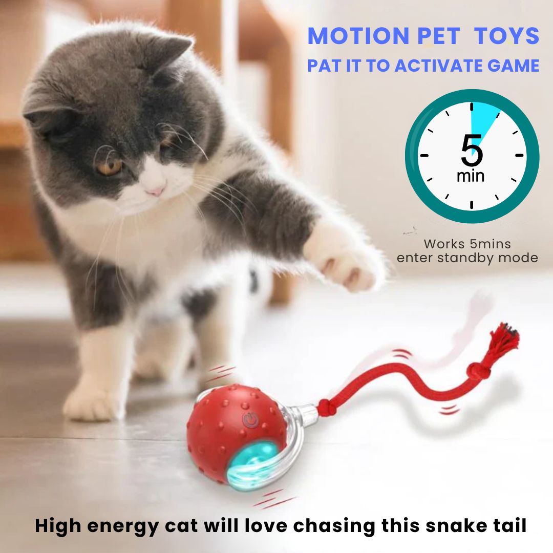 Smart Rechargeable Pet Rolling Ball