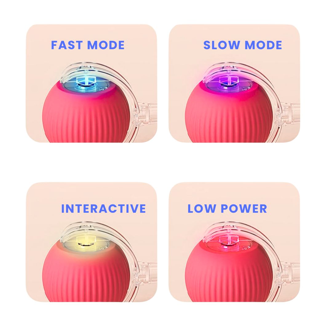 Smart Rechargeable Pet Rolling Ball