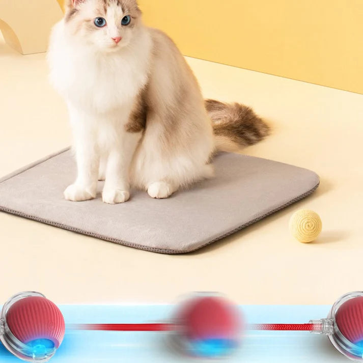 Smart Rechargeable Pet Rolling Ball