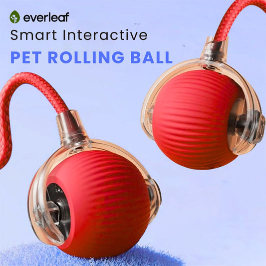 Smart Rechargeable Pet Rolling Ball